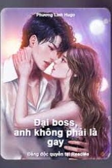 Đại Boss, Anh Không Phải Là Gay!