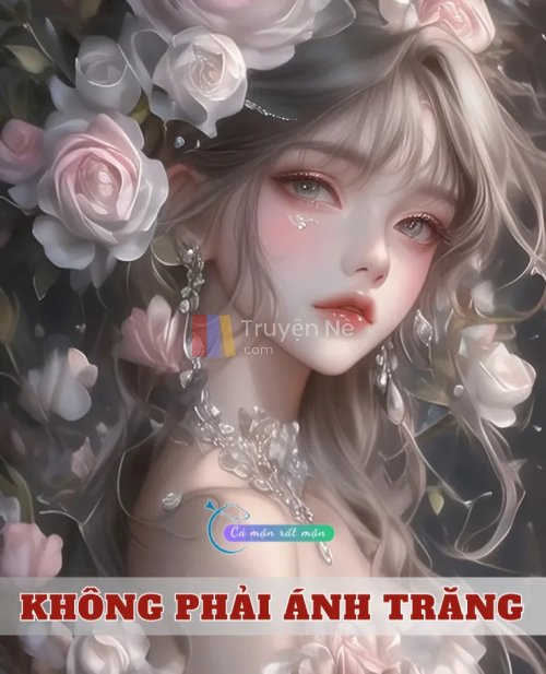 Không Phải Ánh Trăng