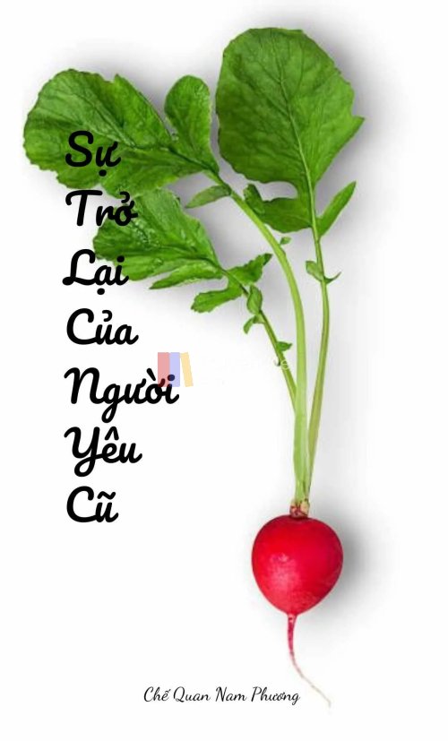 SỰ TRỞ LẠI CỦA NGƯỜI YÊU CŨ