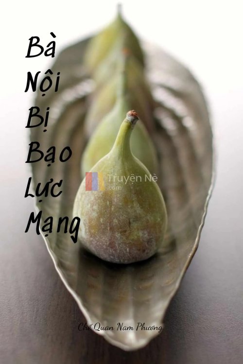 BÀ NỘI BỊ BẠO LỰC MẠNG