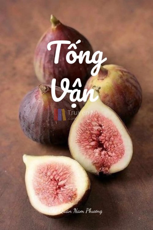 TỐNG VẬN