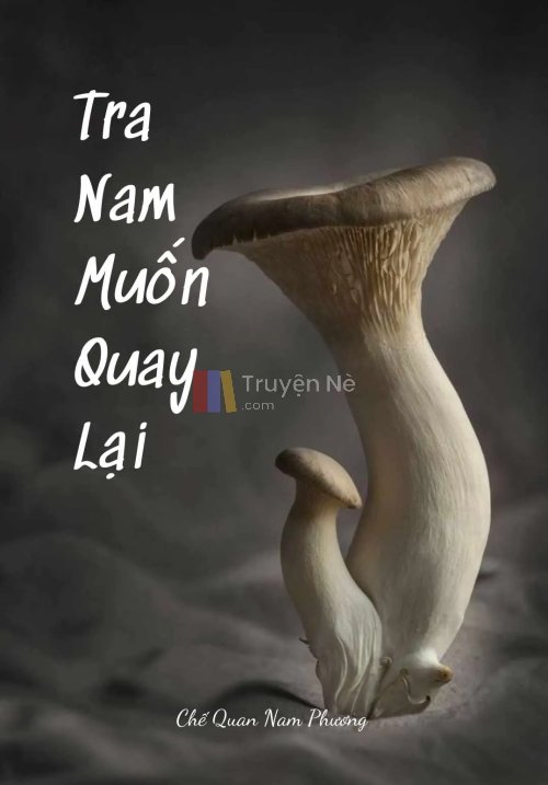 TRA NAM MUỐN QUAY LẠI