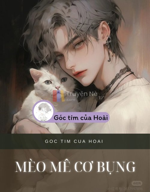 MÈO MÊ CƠ BỤNG