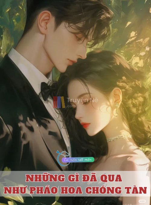 Những Gì Đã Qua Như Pháo Hoa Chóng Tàn