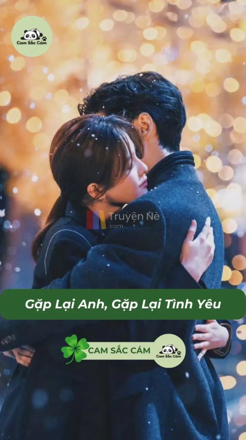 Gặp Lại Anh, Gặp Lại Tình Yêu