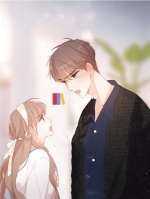 Ly Hôn Chưa Kịp Ký Chồng Tôi Đòi Làm Cún