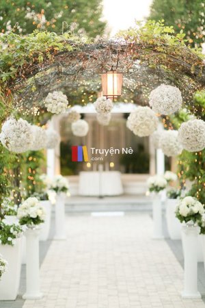 Cuộc Hôn Lễ Đẫm Nước Mắt