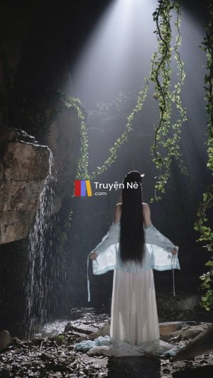 Bản Thỏa Thuận Hiến Tim