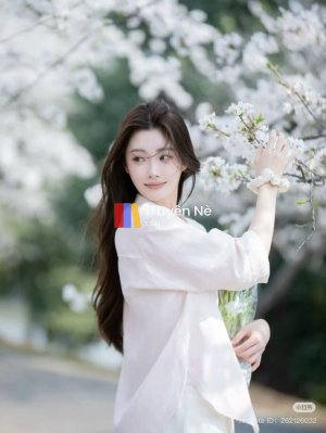 Hủy Hôn Không Cần Xin Phép