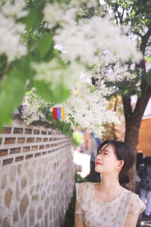 Kế Hoạch Tự Tử Của Chồng Tôi