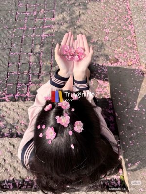 Cuộc Hôn Nhân Đổ Vỡ