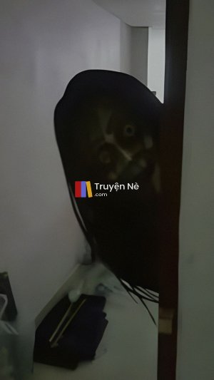Tôi Là Tài Xế Trong Bộ Phim Kinh Dị