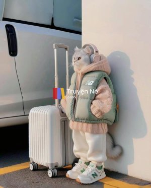 BIỂN HOA KHÔNG DÀNH CHO KẺ ẢO TƯỞNG