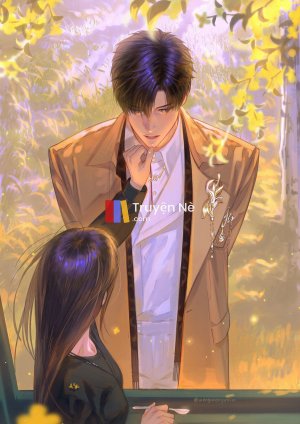 Bão Tình Yêu và Những Nỗi Đau