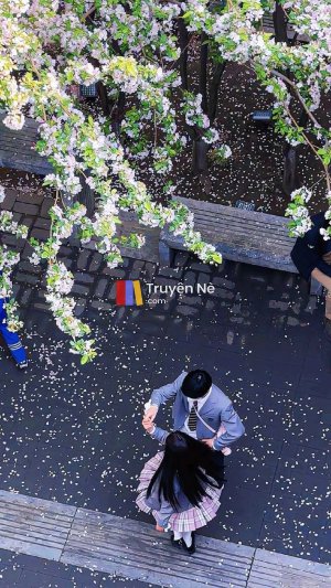 Chỗ Ngồi Đã Được Đặt Ra
