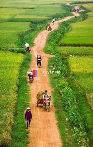 Trọng Sinh Đêm Định Mệnh Ở Nông Thôn