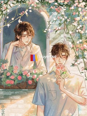Chồng ơi, sao lại làm thế
