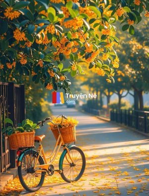 Ly Hôn Vì Một Chiếc Xe Đạp