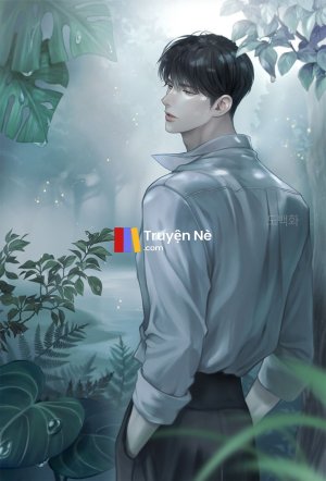 Bóng Đen Của Ánh Sáng