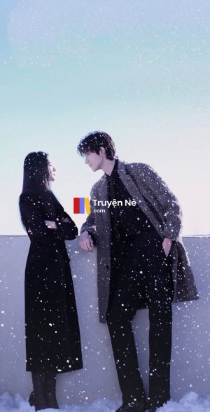 Cuộc Đời Thứ Hai Tại Tòa Án