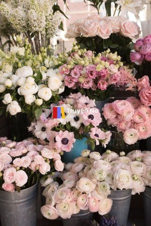 Cuộc Chiến Giữa Những Đoá Hoa